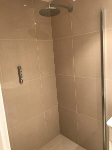 Shower screen and shower micer