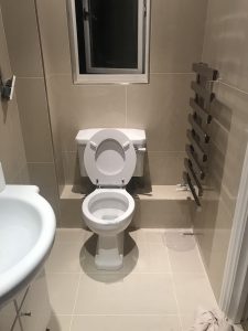 toilet pan